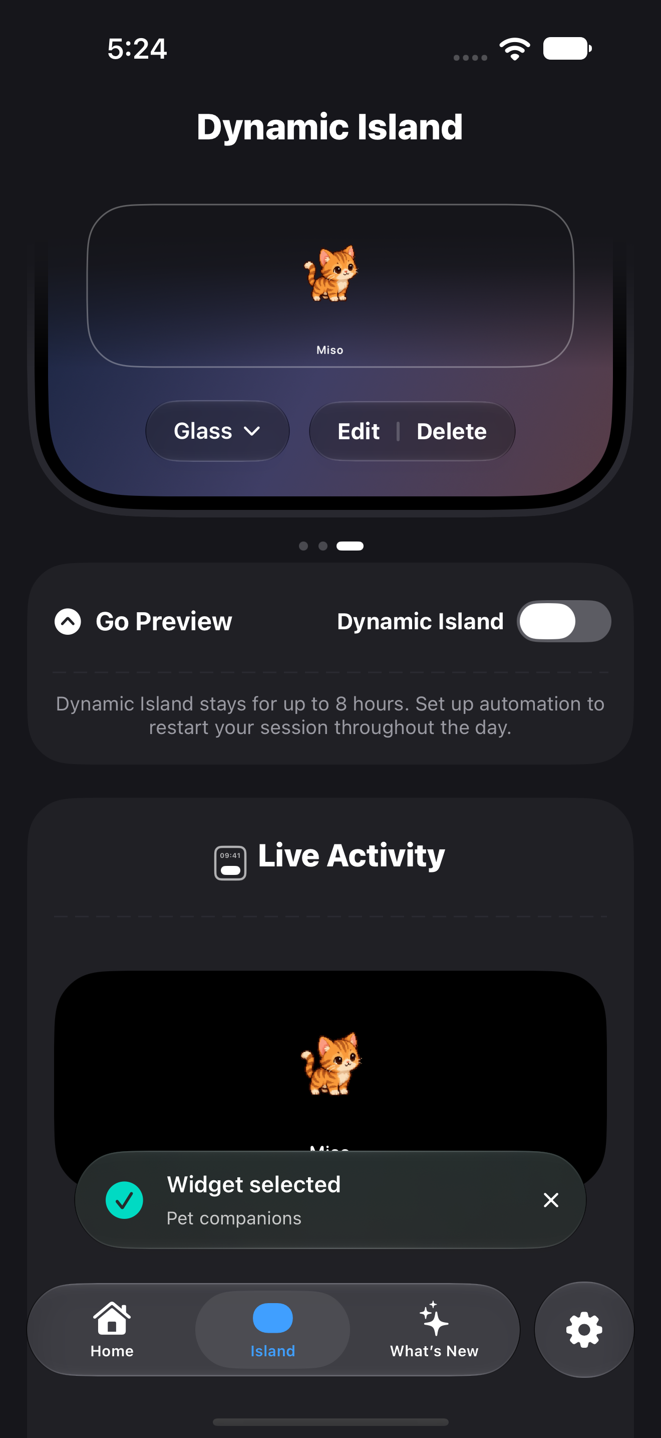 Notchi companion Live Activity preview with Miso and Glass styling.